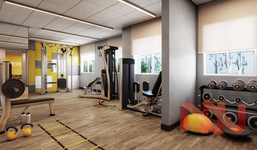 Fitness musculacao