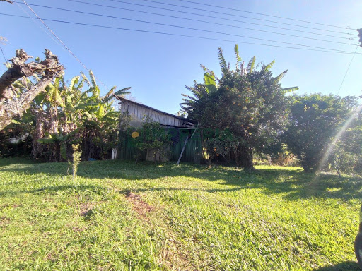 Sítio / Chácara COM CASA em Comunidade São José  -  Boa Vista do Sul