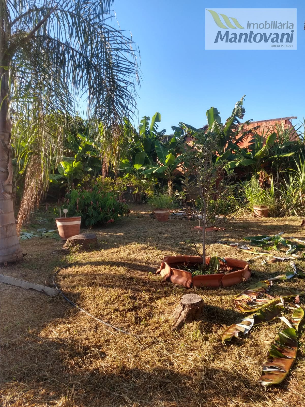 Casa à venda com 1 quarto, 1 banheiro, 1 vaga e 994m² no Vila Nova Esperança, Tatuí (SP) — foto 12 de 13