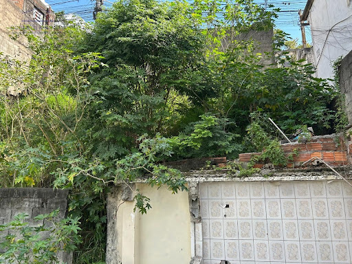 Outra vista