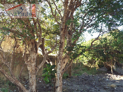 Terreno em Parque Sao Luis  -  Taubaté