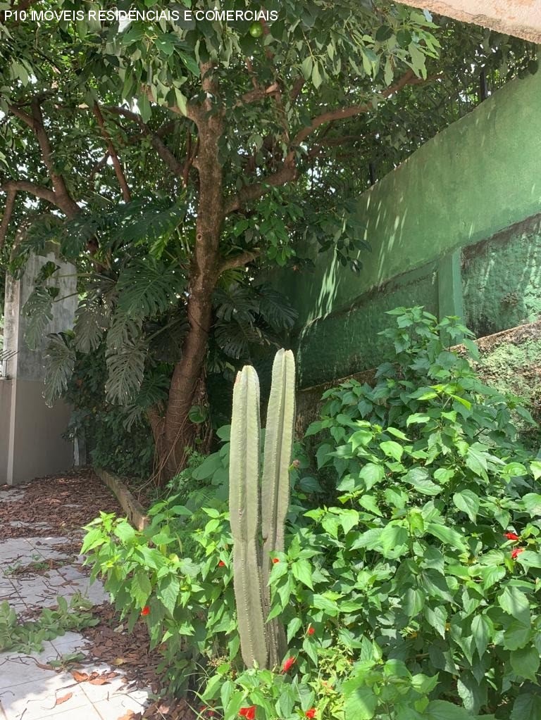 Foto 03