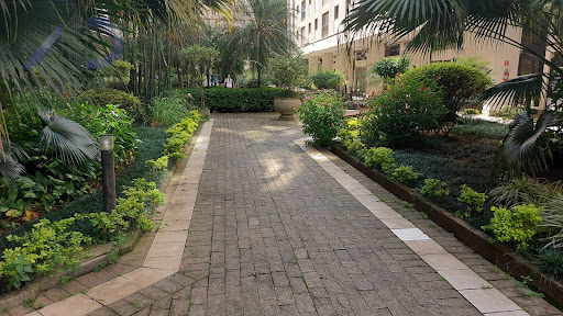 jardim