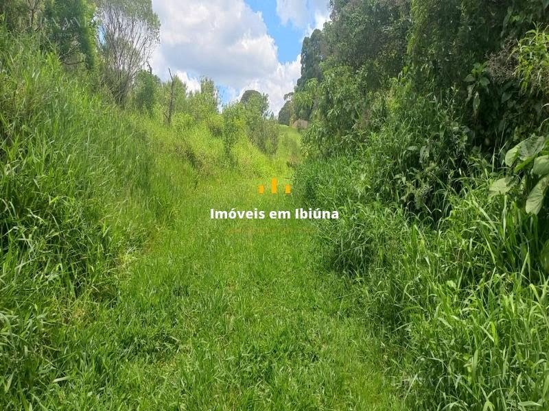 Terreno à venda com 1500m² de terreno no Ibiúna, São Paulo (SP) — foto 18 de 30