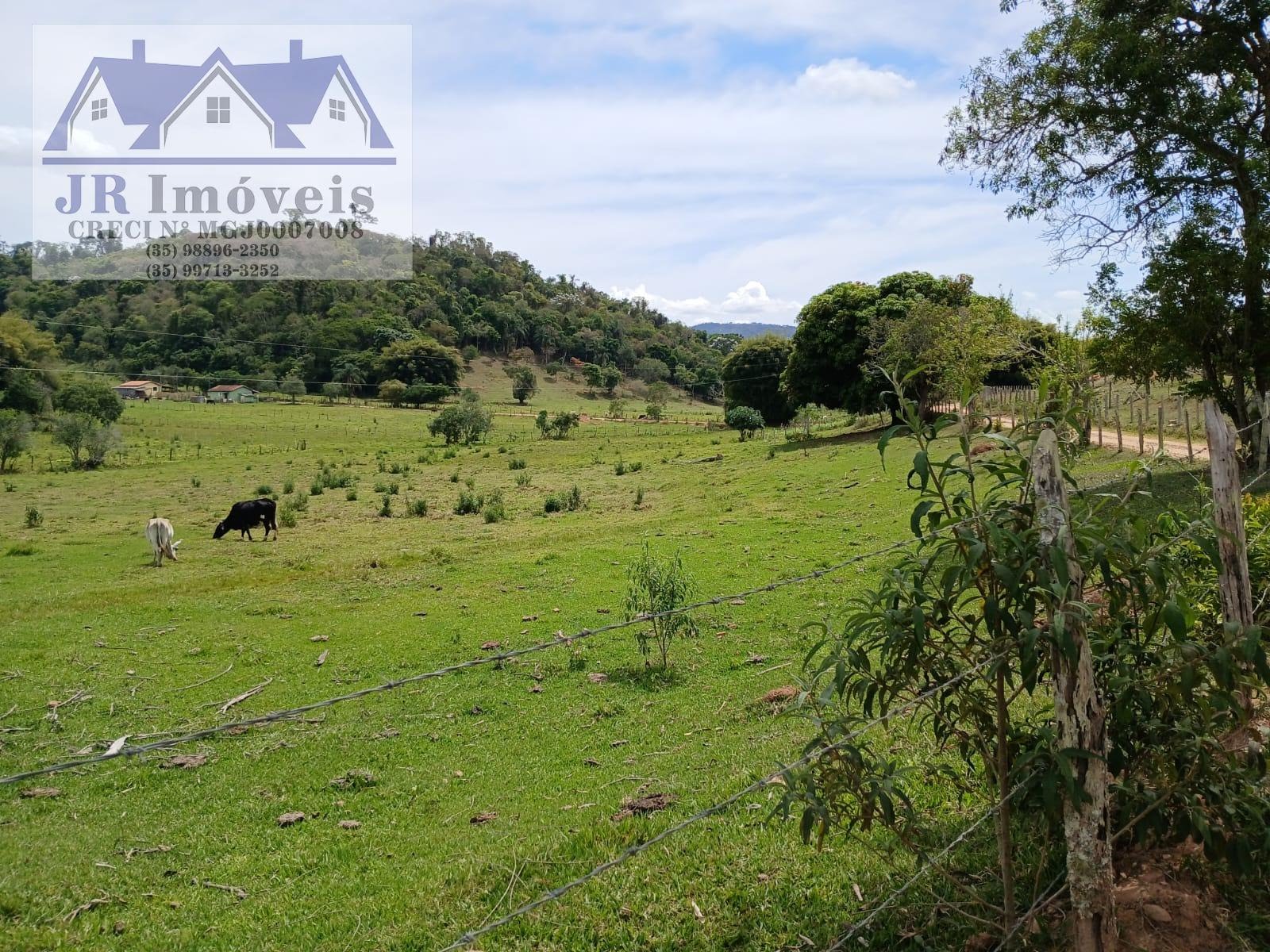 Rural à venda com 34200m² de terreno no Banhado, Brazópolis (MG) — foto 9 de 21