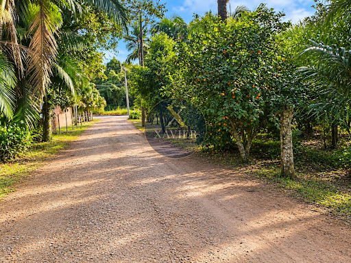Lote / Terreno no Rio da Onça.  -  Garuva