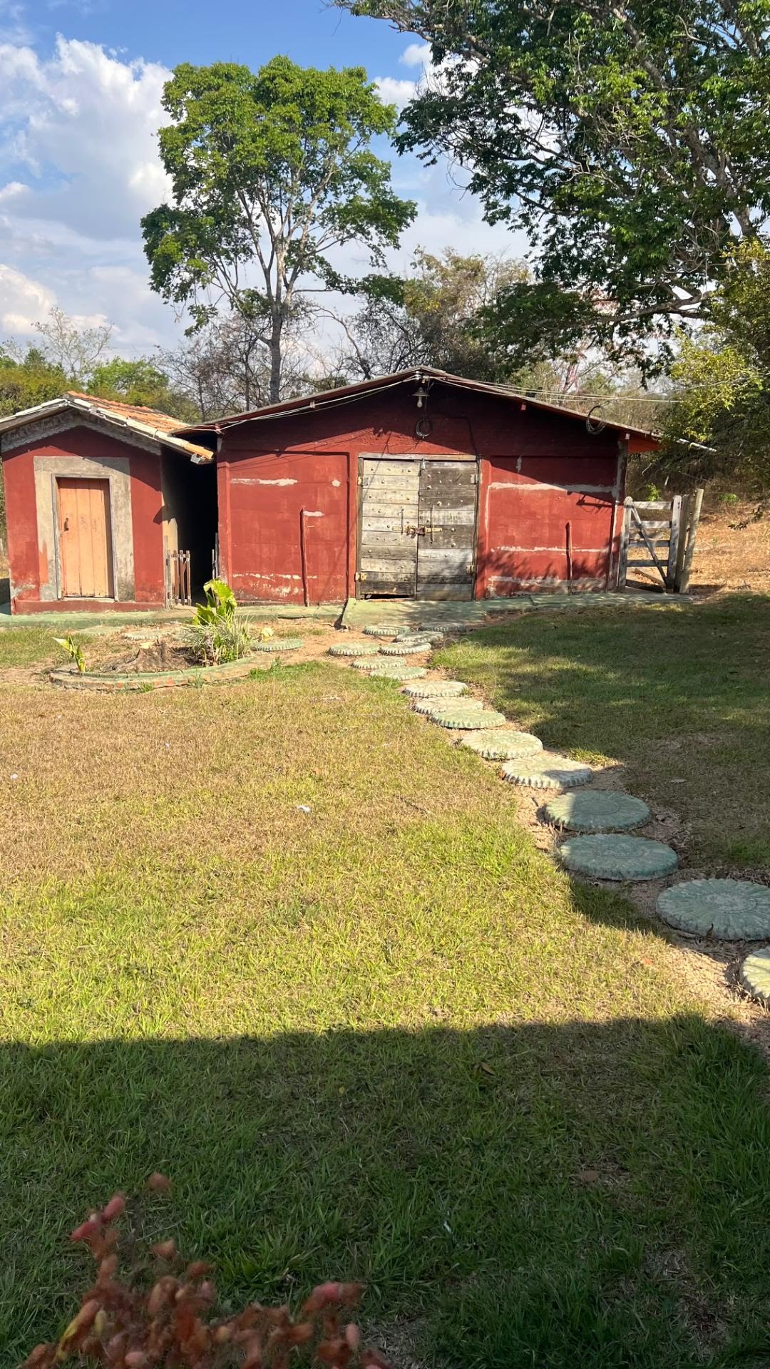 Fazenda, 1001 hectares - Foto 14