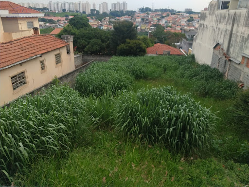 Vista interna