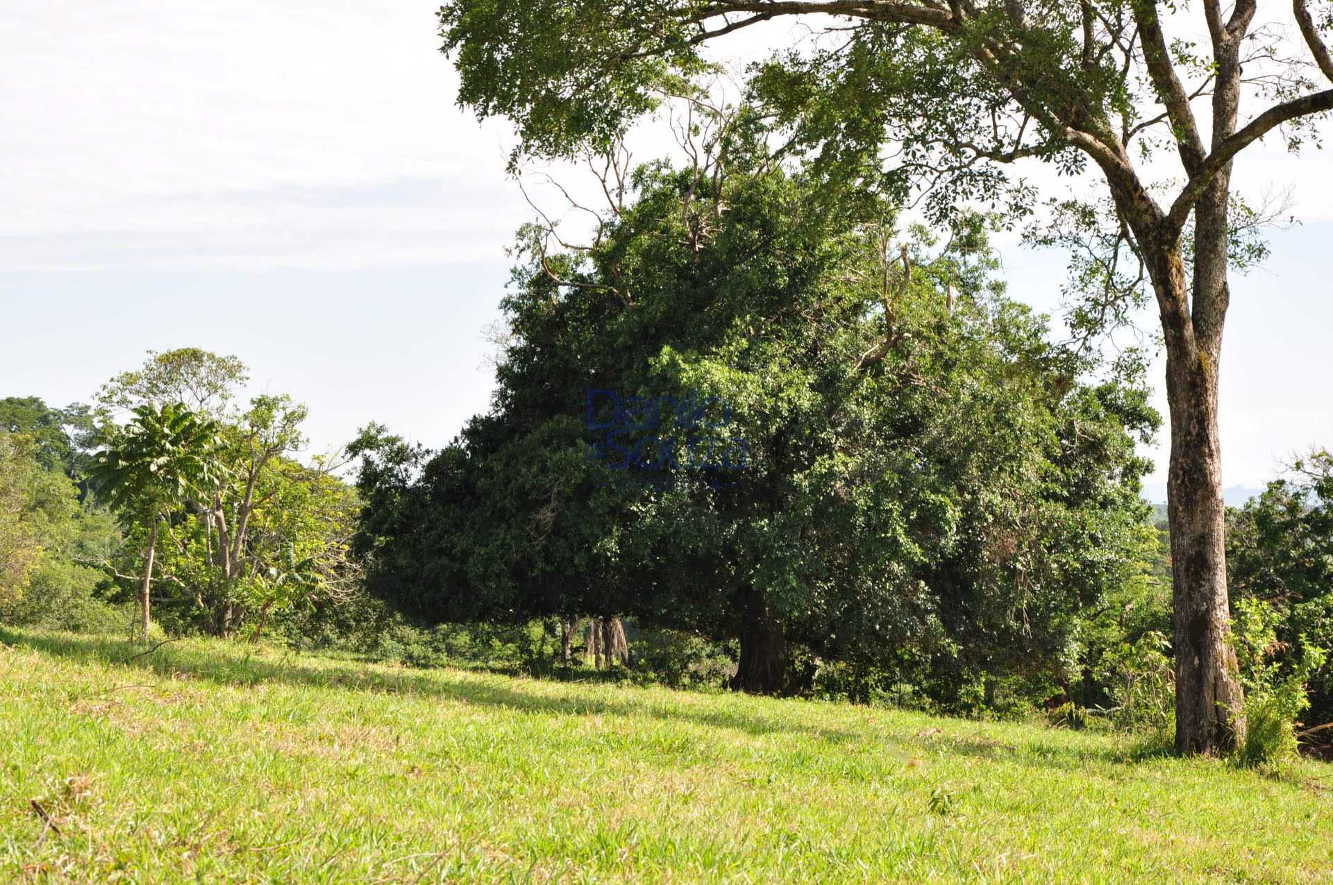 Rural à venda com 20000m² de terreno no Novo Santo Antônio, Araxá (MG) — foto 17 de 20