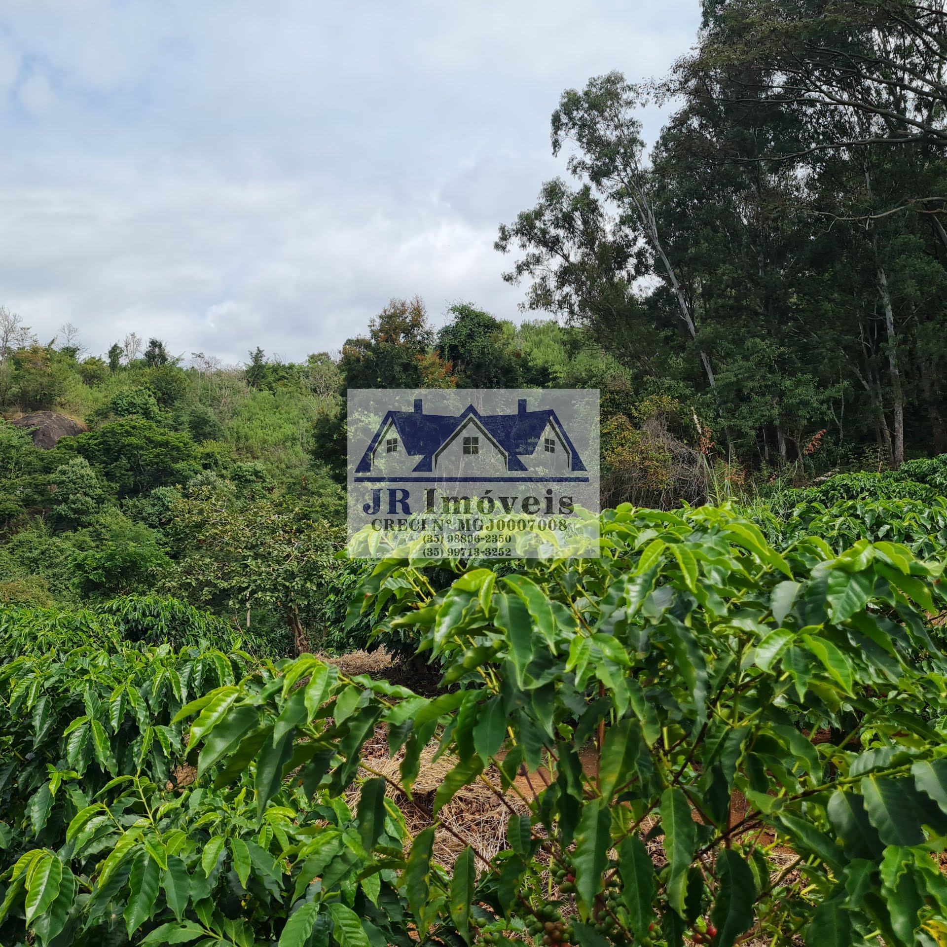 Terreno à venda com 21237m² de terreno no Pinheirinho, Itajubá (MG) — foto 17 de 30