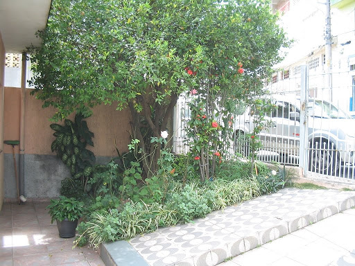 Jardim frontal