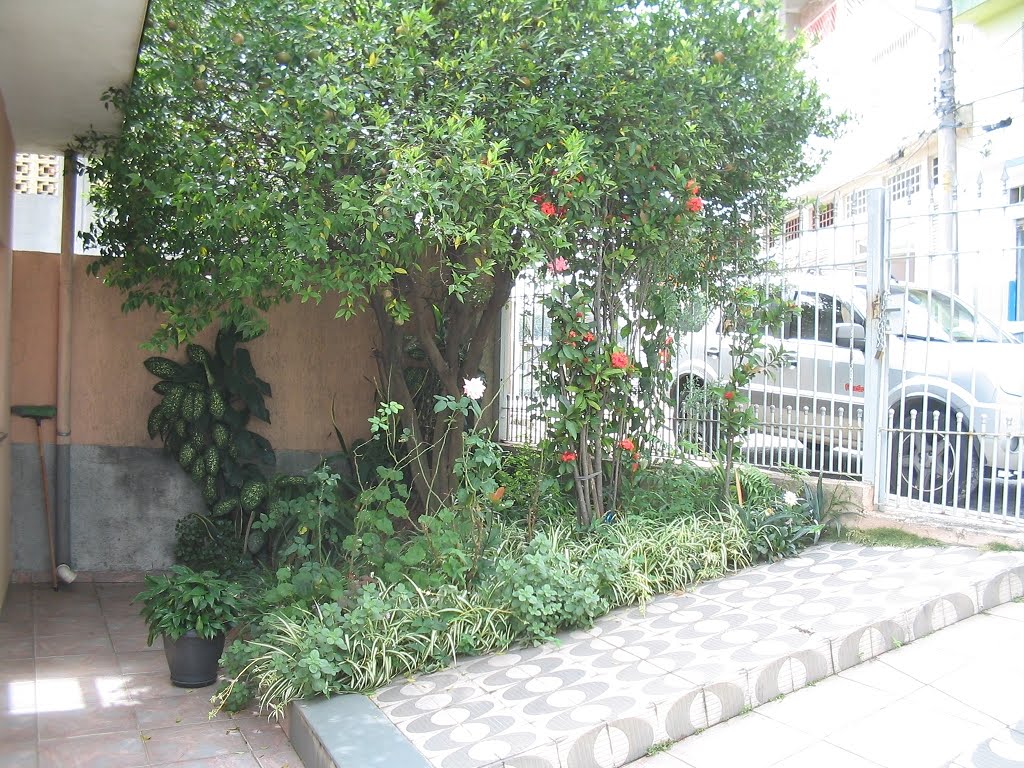 Jardim frontal