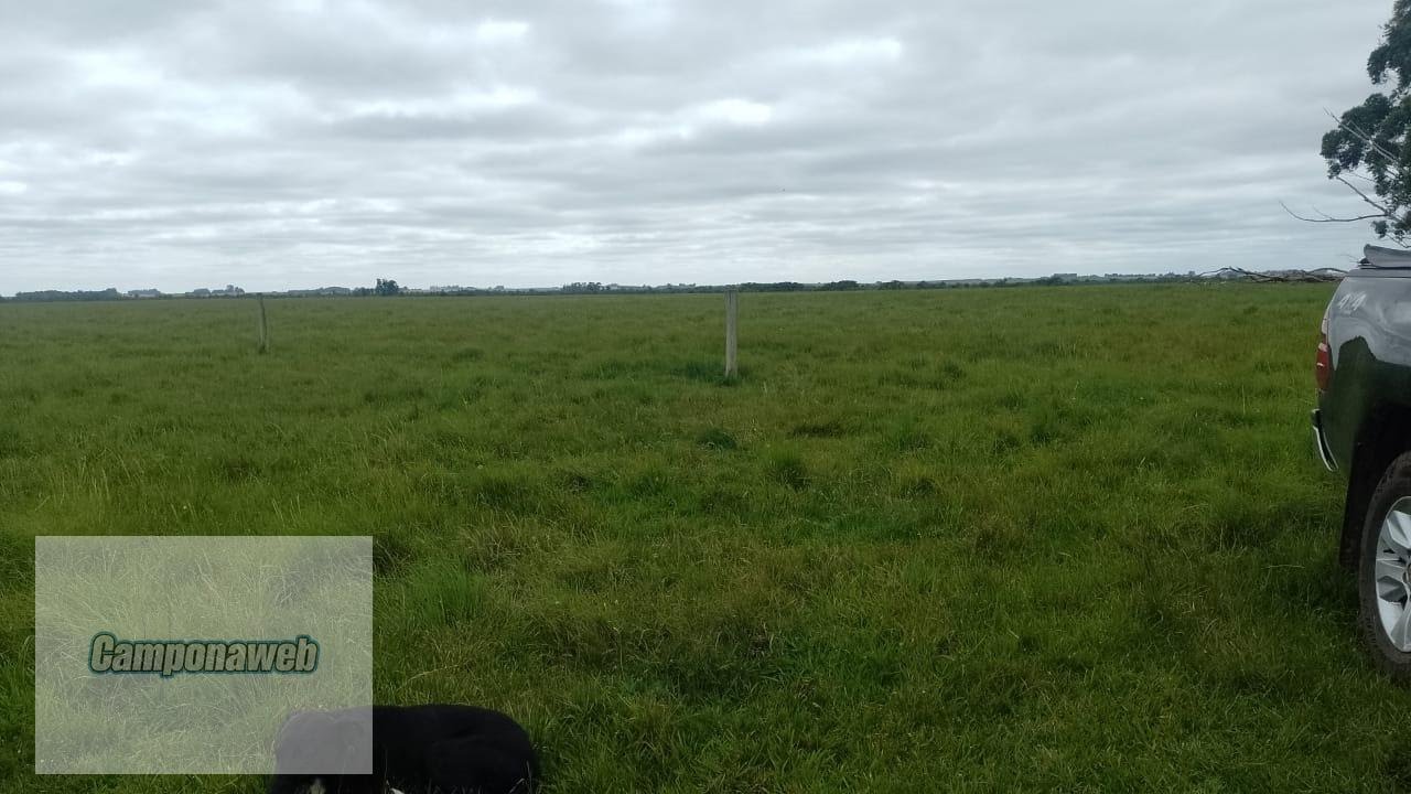 fazenda com potencial agrícola