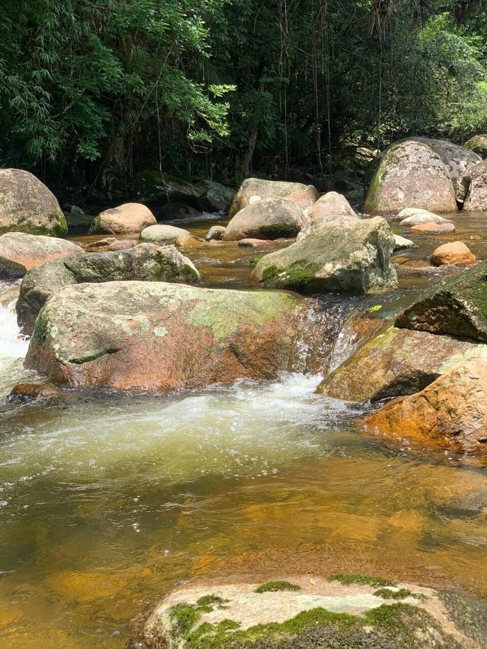 Terreno à venda com 5804m² de terreno no Sul do Rio, Santo Amaro da Imperatriz (SC) — foto 12 de 18