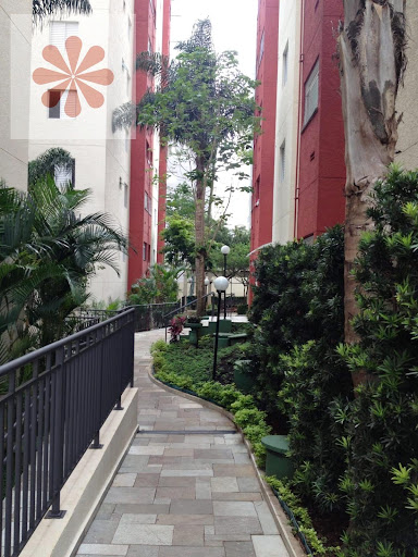 Apartamento em Vila Matilde  -  São Paulo