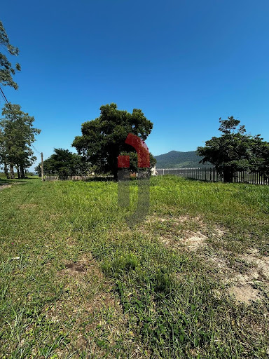 Terreno em Palmital  -  Osório