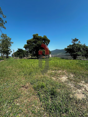 Terreno em Palmital  -  Osório