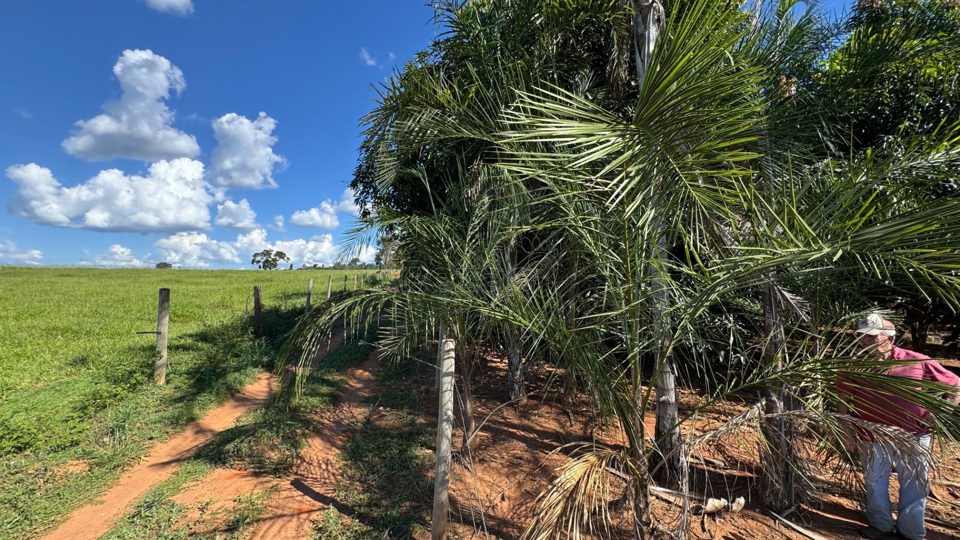Rural à venda com 45980m² de terreno no Zona Rural, Itapuranga (GO) — foto 17 de 26