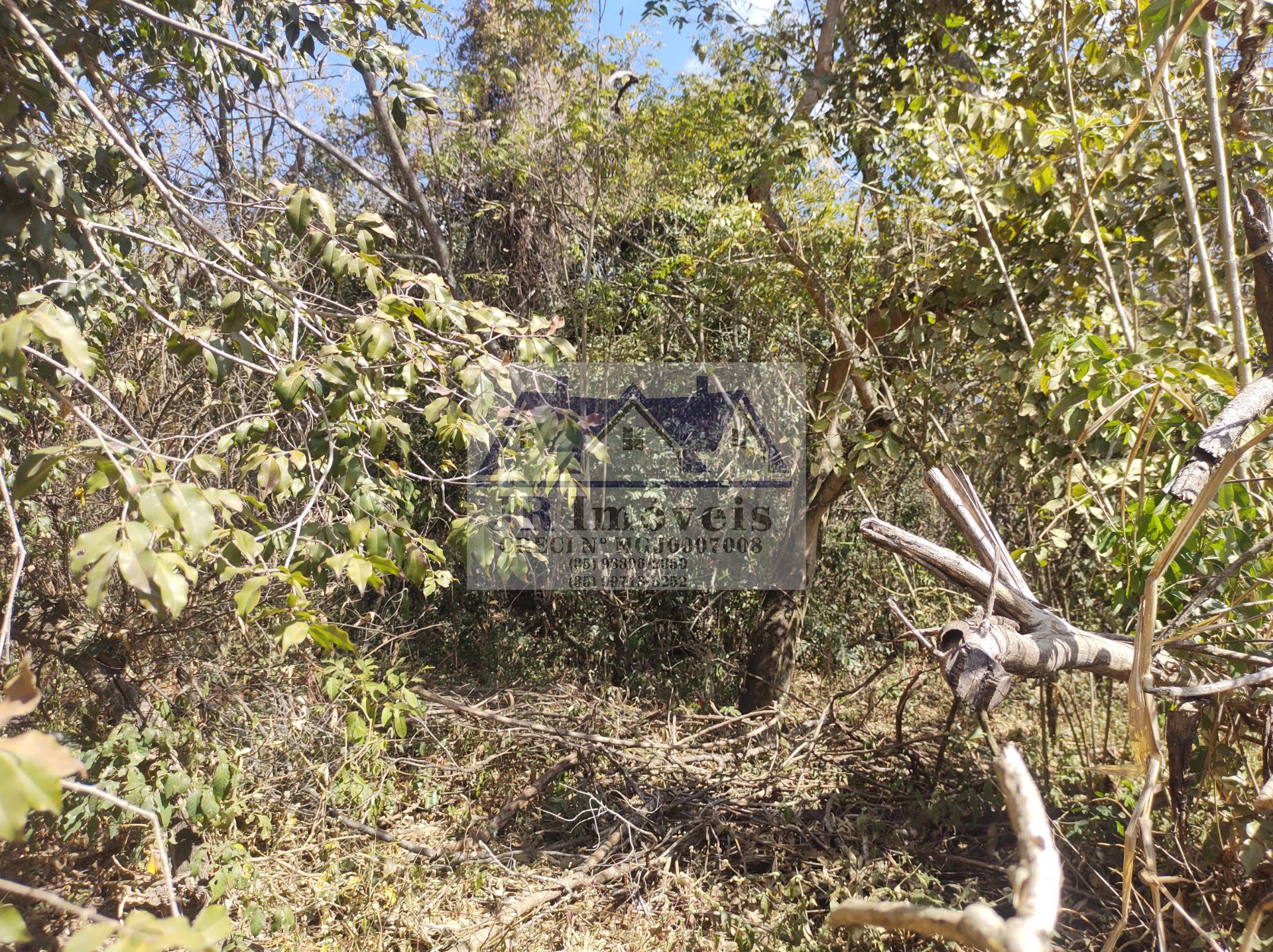 Terreno à venda com 5686m² de terreno no Santa Barbara, Piranguinho (MG) — foto 3 de 17