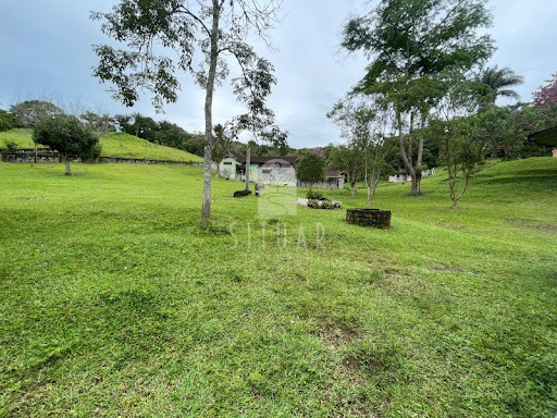 Foto 01
