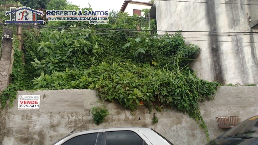 frente