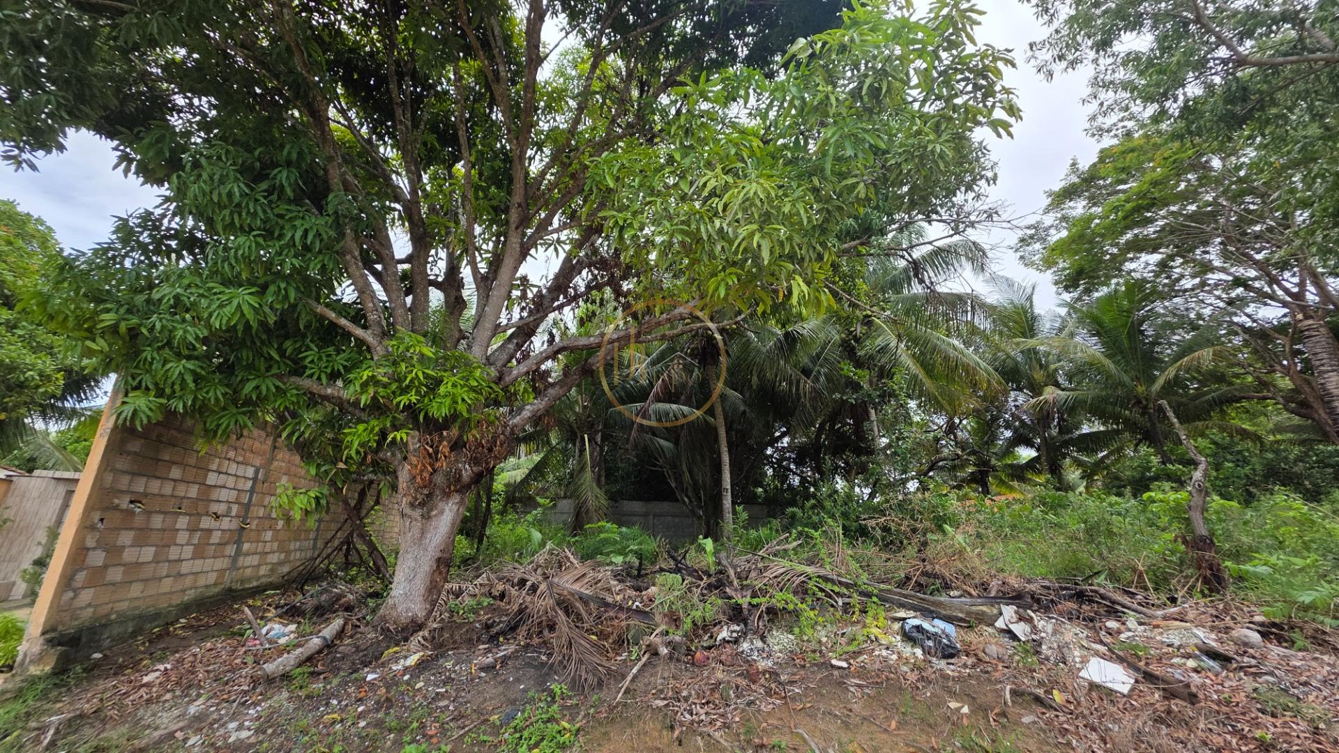 Terreno à venda com 1100m² de terreno no Nova Cabrália, Santa Cruz Cabrália (BA) — foto 5 de 10