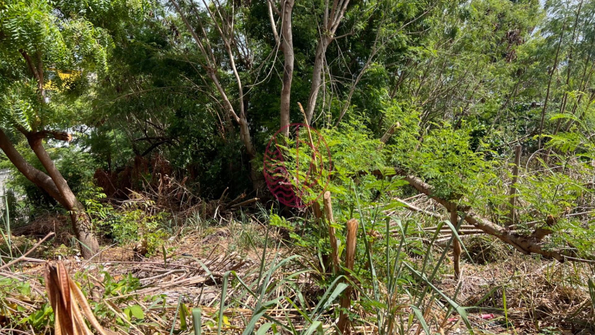 Terreno à venda com 471m² de terreno no Vilas do Atlântico, Lauro de Freitas (BA) — foto 9 de 9