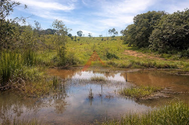 Sítio 7 alqueires em  Ouro Fino/MG