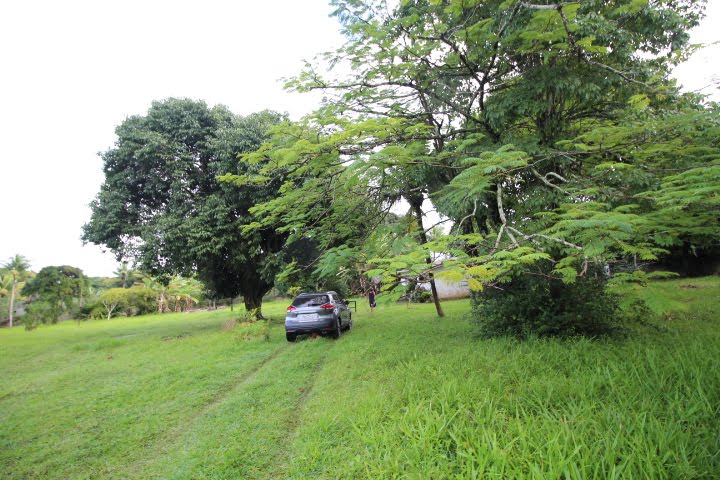 Casa à venda com 10000m² no Guabiraba, Recife (PE) — foto 18 de 23