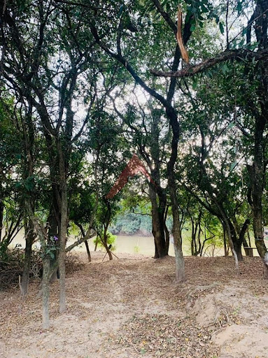 Sítio na beira da Fernão Dias em São Sebastião da Bela Vista/MG