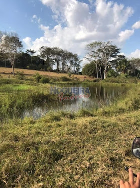 Chácara em gleba 24  -  Urupá