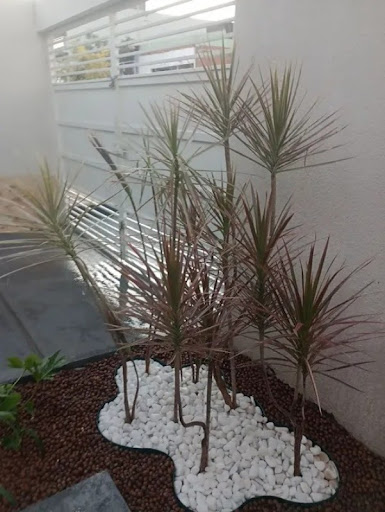 Foto 07