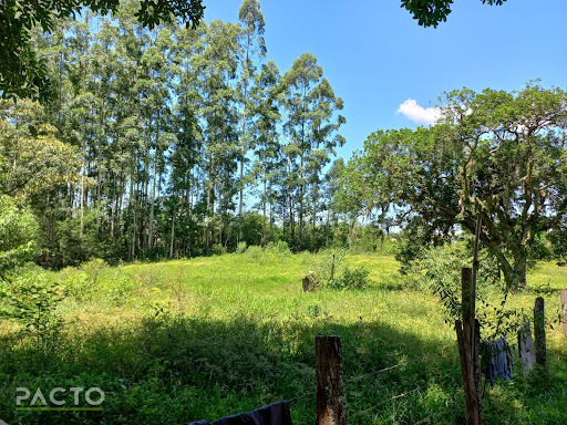 Imóvel Rural em Costão  -  Morrinhos do Sul