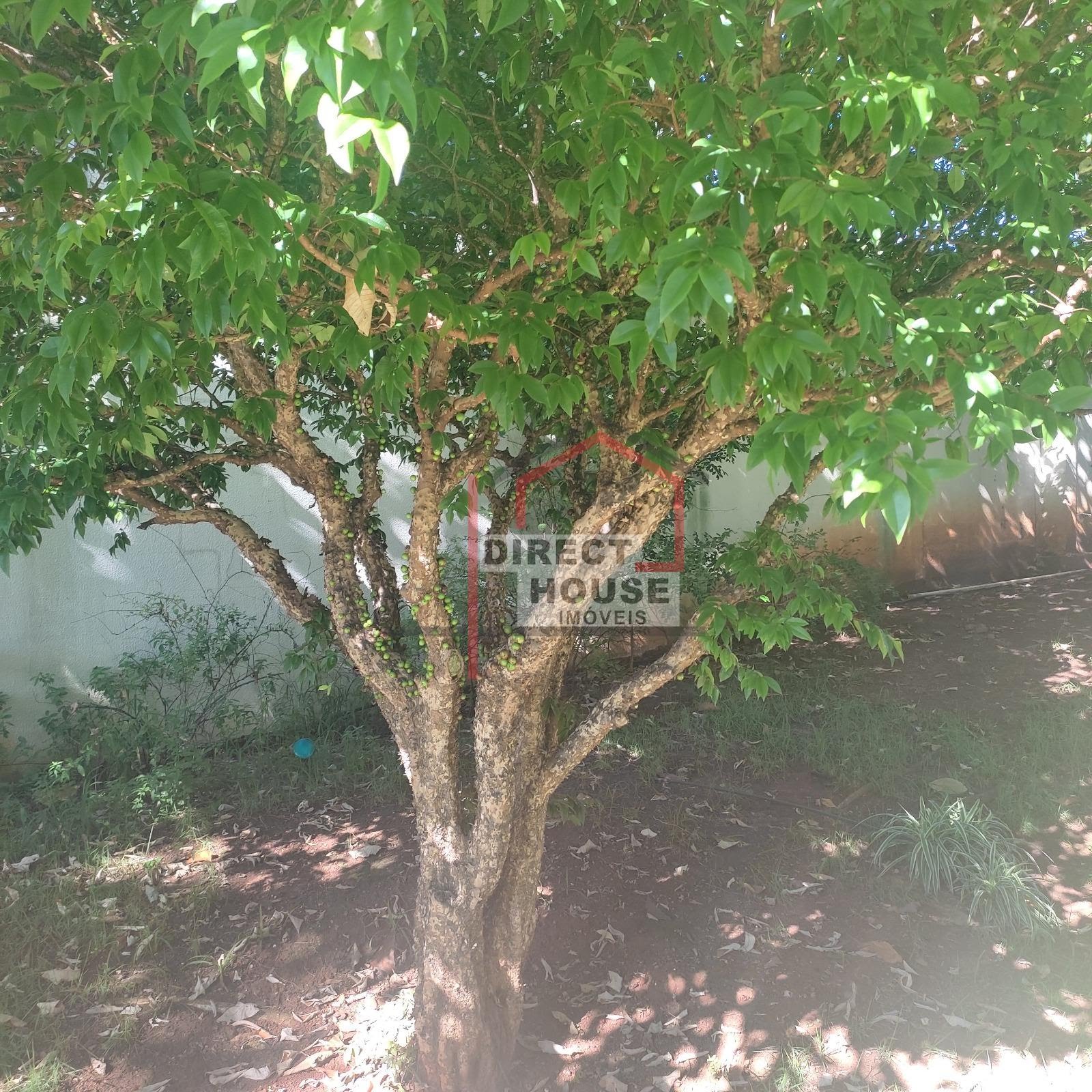 Apartamento, 57 m² - Foto 29