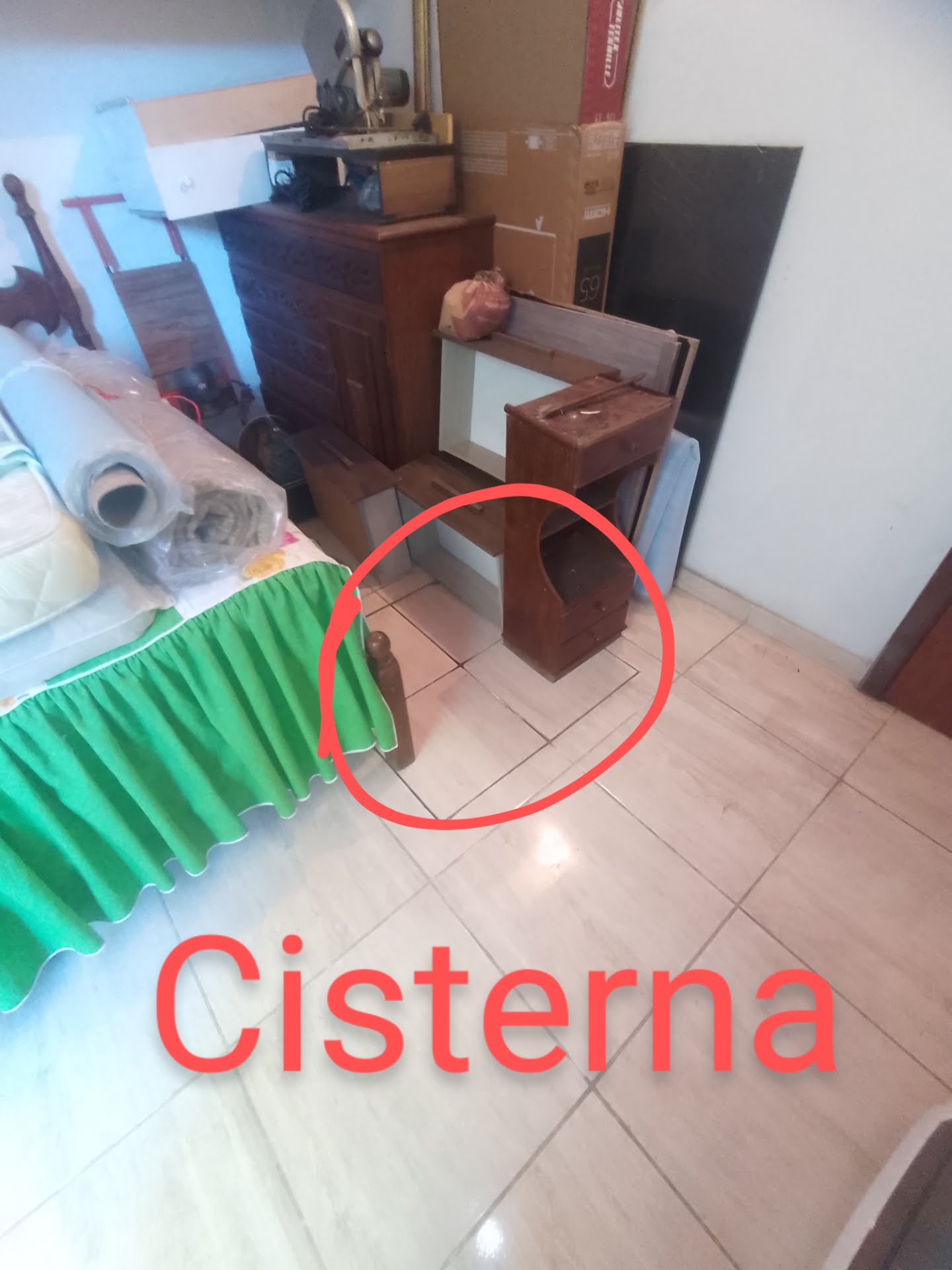 Casa, 5 quartos, 500 m² - Foto 3