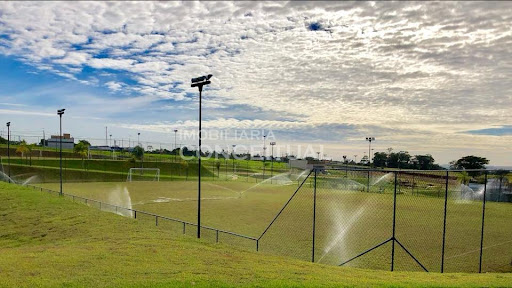 Mini Campo