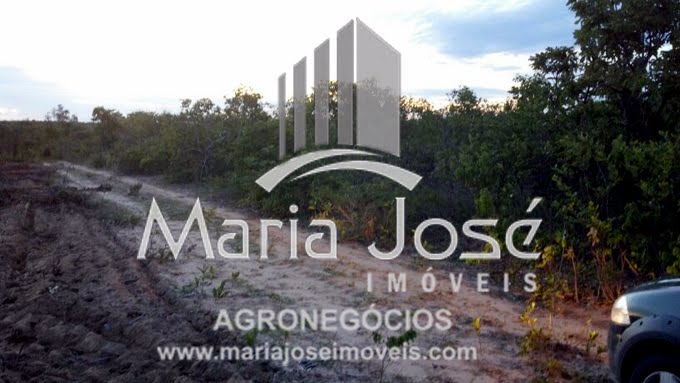 Rural à venda com 1596m² de terreno no Zona Rural de São Francisco, São Francisco (SP) — foto 14 de 17