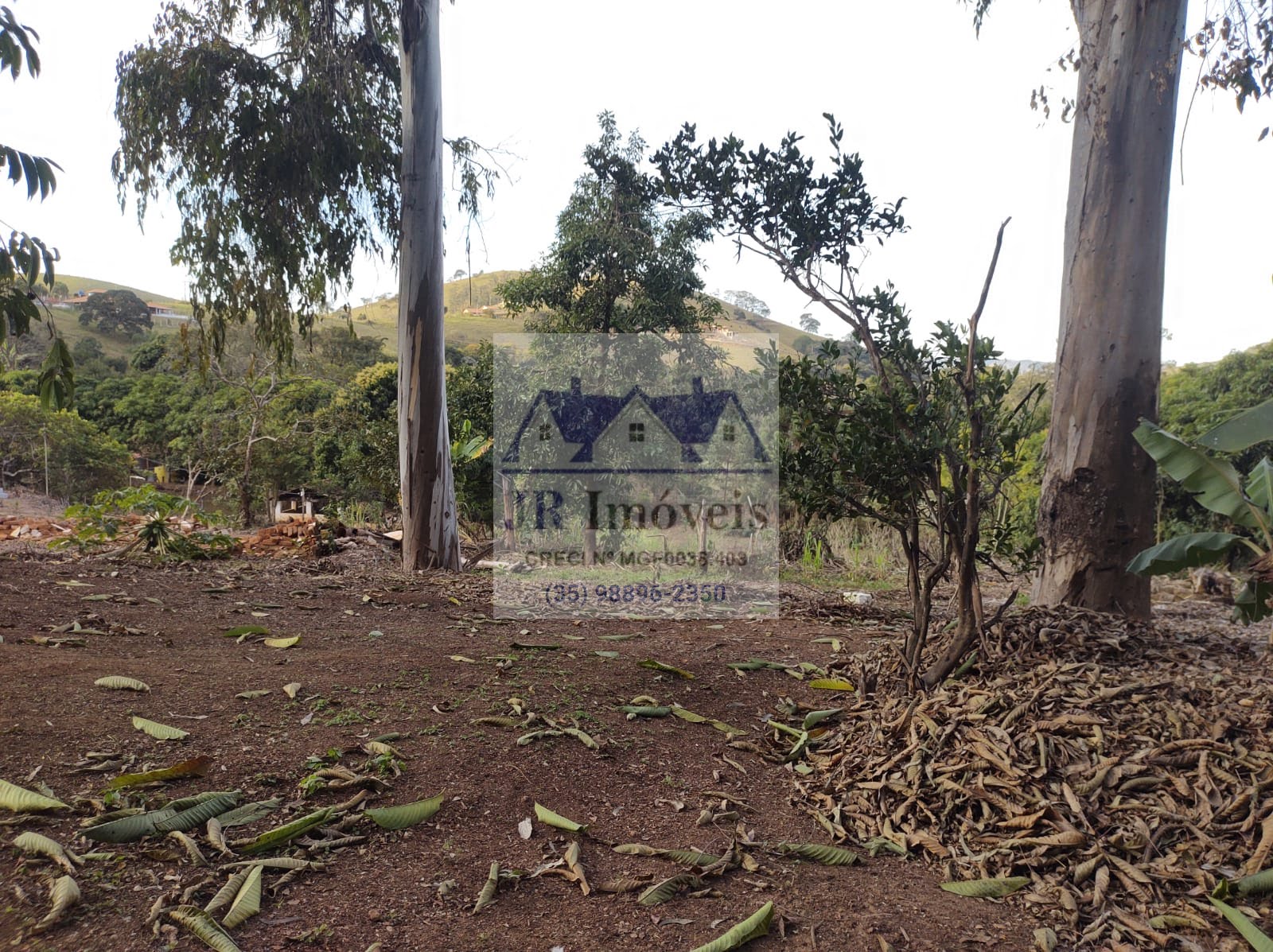 Rural para alugar com 18000m² de terreno no Mato Dentro de Baixo, Piranguinho (MG) — foto 29 de 30