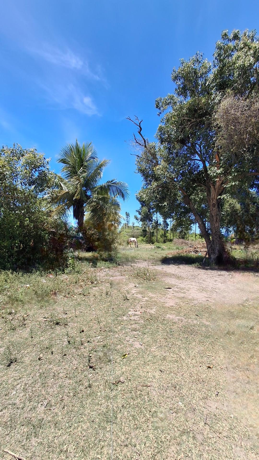 Rural à venda com 33000m² de terreno no Vila Manhães, Campos dos Goytacazes (RJ) — foto 9 de 10