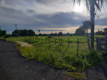 Fazenda em zona rural   -  Anastácio