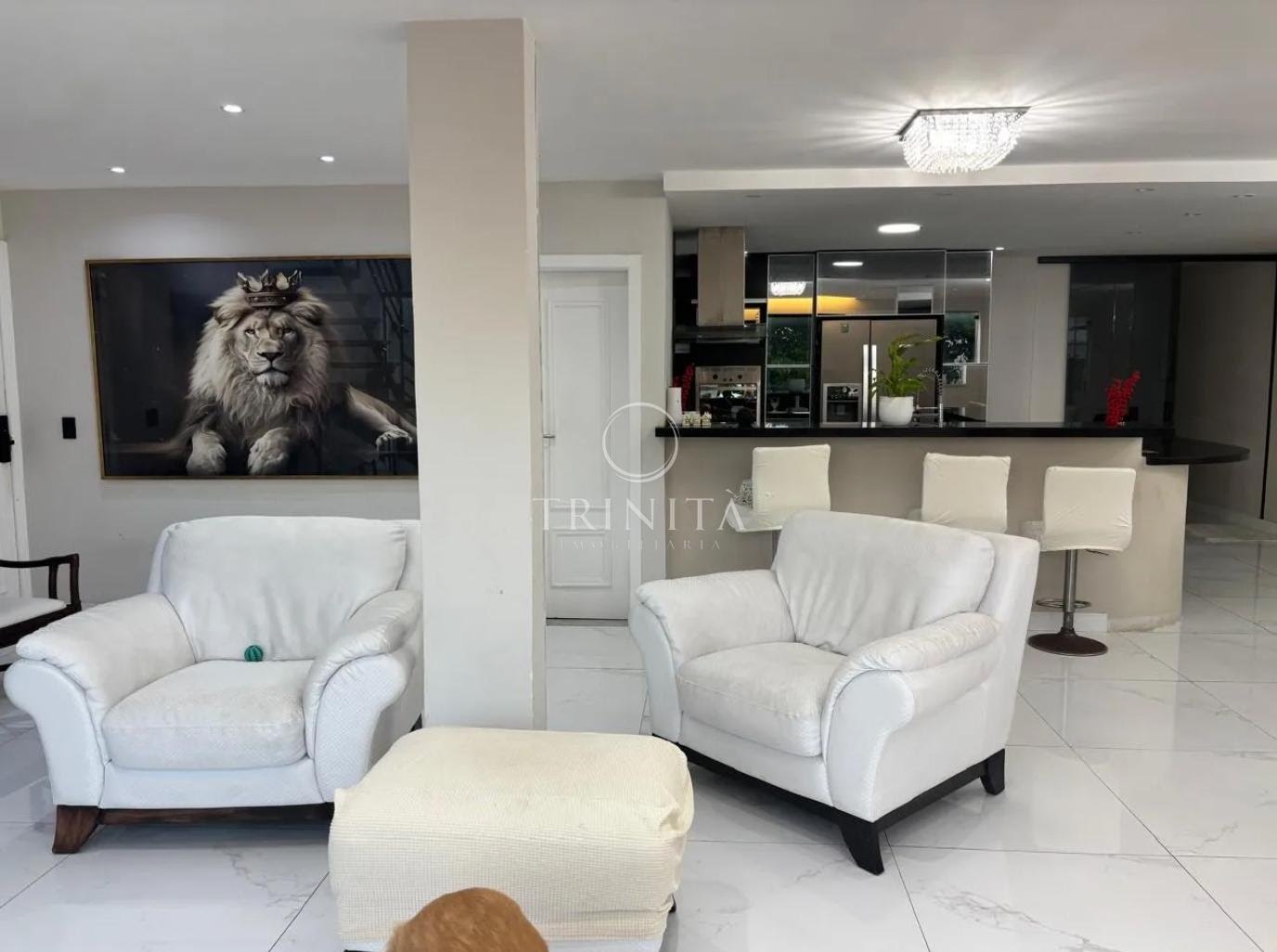 Sala - Recreio dos Bandeirantes - Trinità Imobiliária