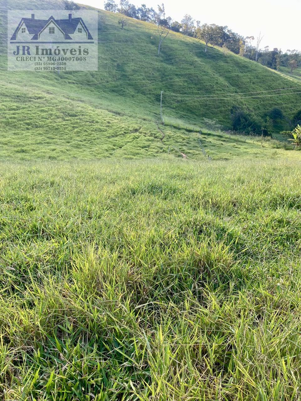 Terreno à venda com 76200m² de terreno no Campinho, Piranguinho (MG) — foto 2 de 20