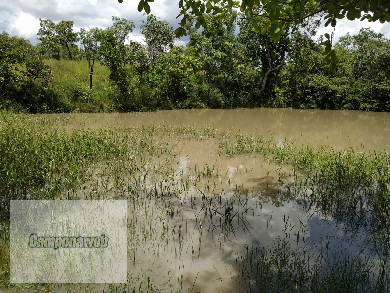 Lago na propriedade