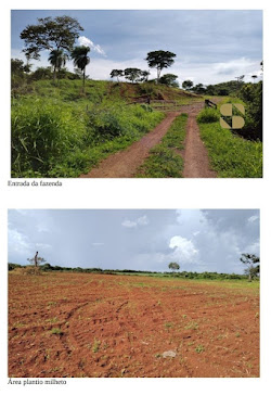  Fazenda de Alto Padrão para Pecuária 
