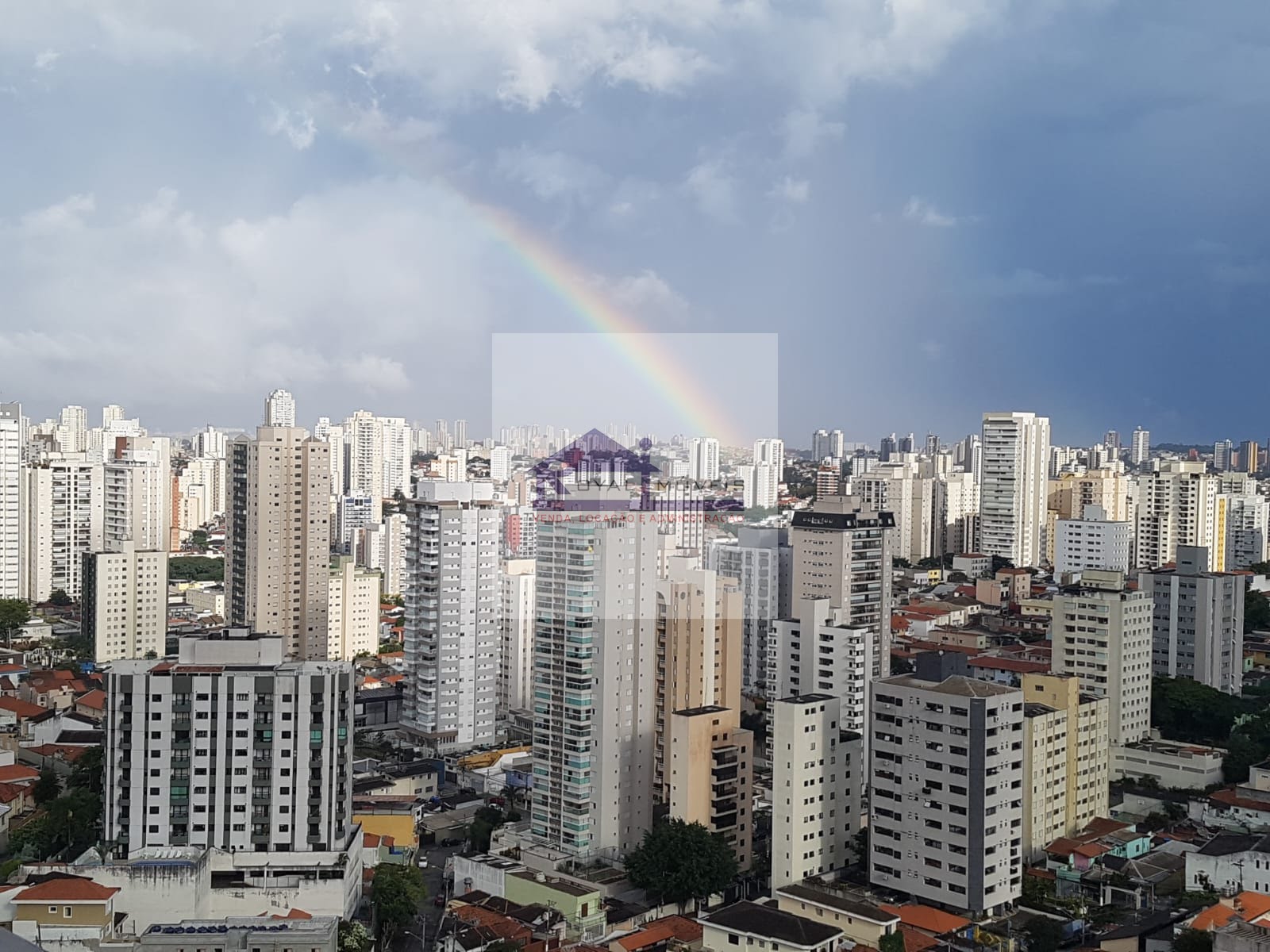 Apartamento à venda com 4 quartos, 2 suítes, 4 vagas e 270m² no Vila Mariana, São Paulo (SP) — foto 11 de 30