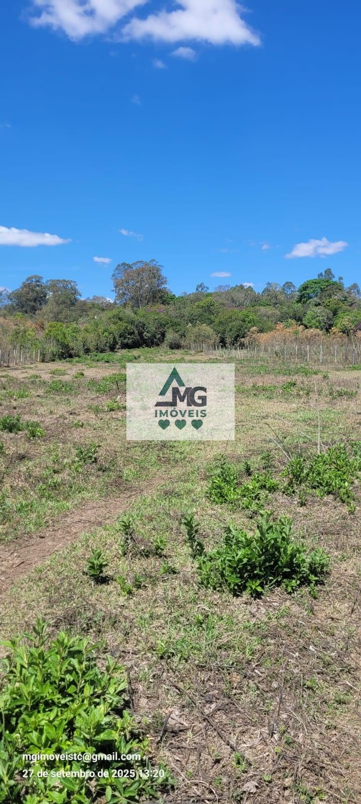 Rural à venda com 20000m² de terreno no Área Rural de Três Corações, Três Corações (MG) — foto 11 de 26