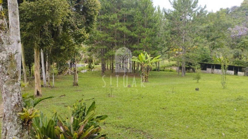 Foto 04