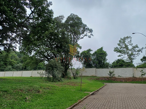 Terreno no Reserva do Arvoredo