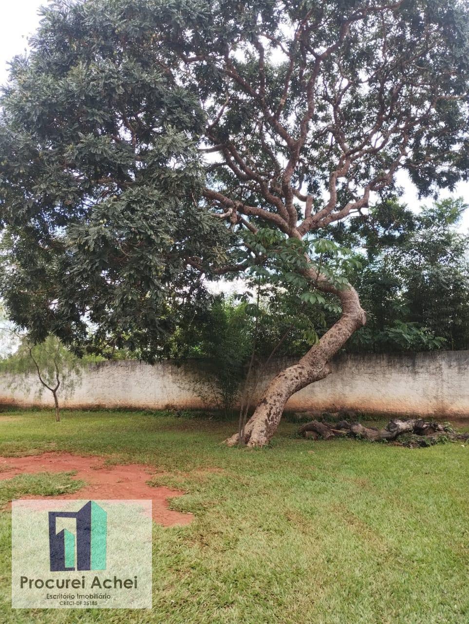 Rural à venda com 12000m² de terreno no Lagoa Formosa Go, Planaltina (GO) — foto 19 de 27