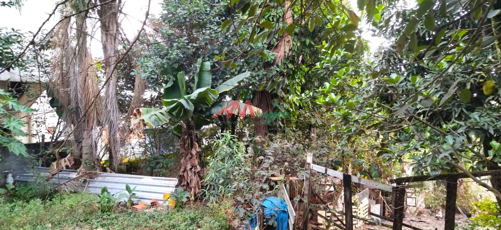 Terreno à venda com 3465m² de terreno no Dos Casa, São Bernardo do Campo (SP) — foto 8 de 8